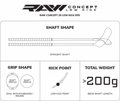 SPECS_RAW CONCEPT 29 LOW KICK SPD